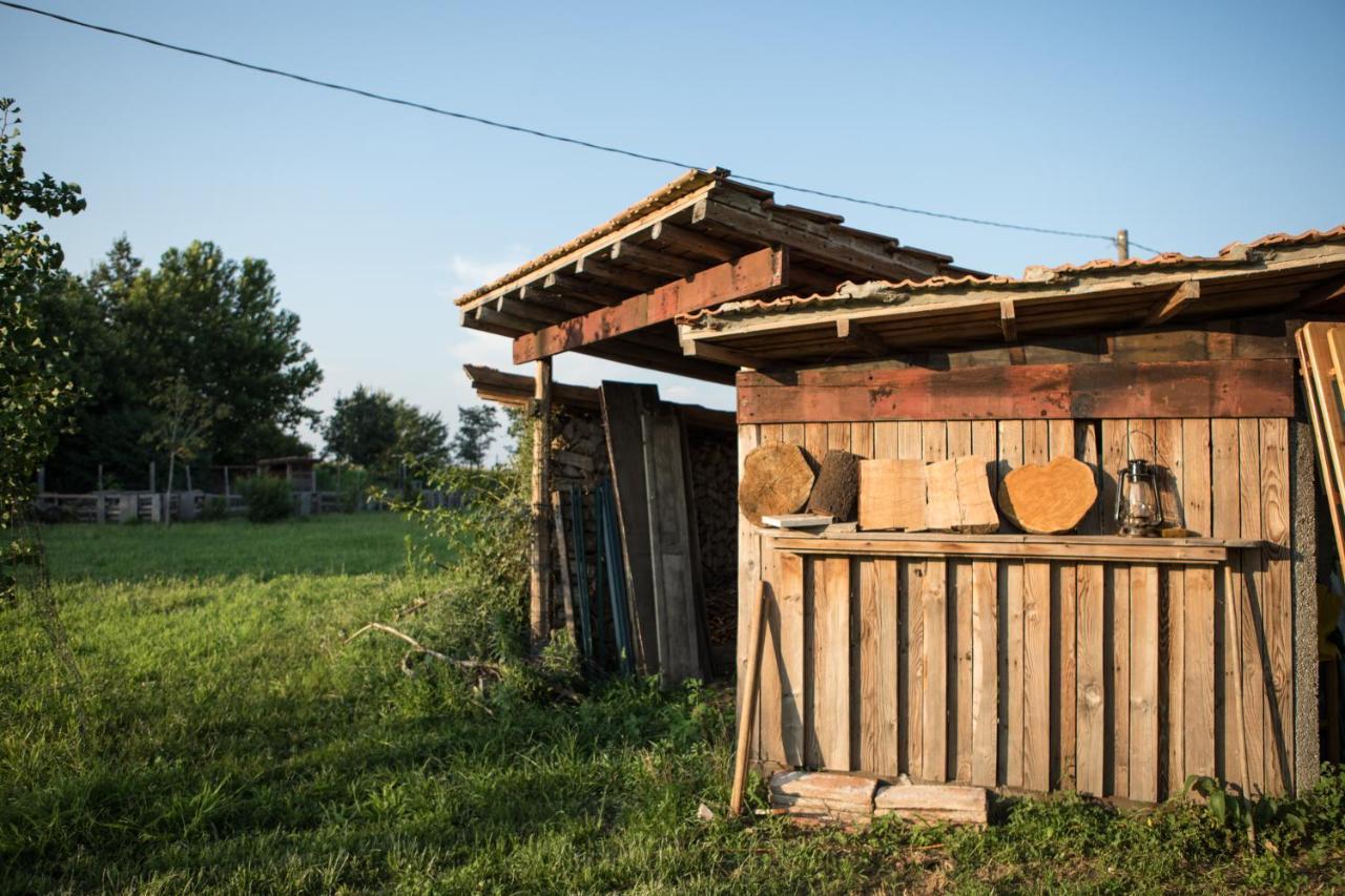 B&B Casa Campagnari Roverbella Dış mekan fotoğraf